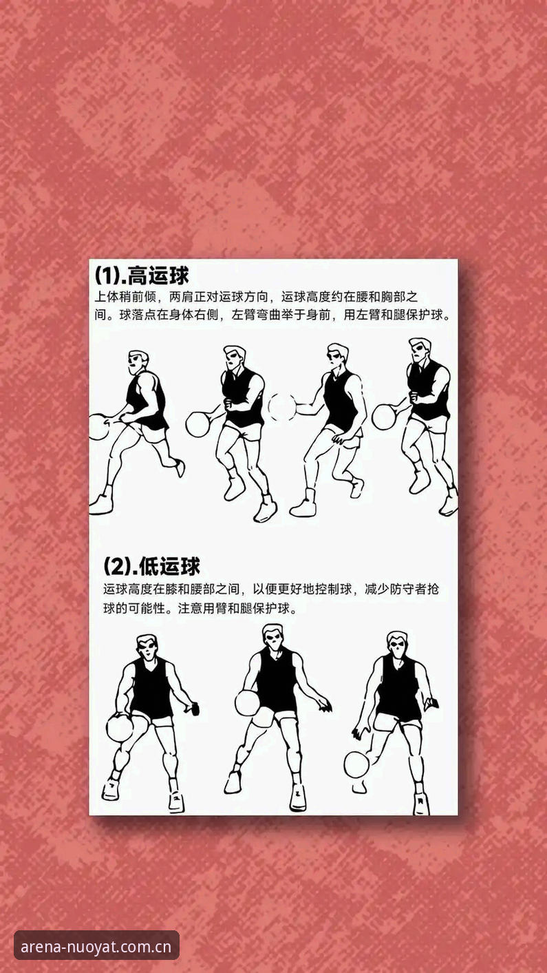 诺亚体育最新网站中国官方篮球数据教程 诺亚体育平台篮球数据教程深度评测——从新手到高手的实战指南